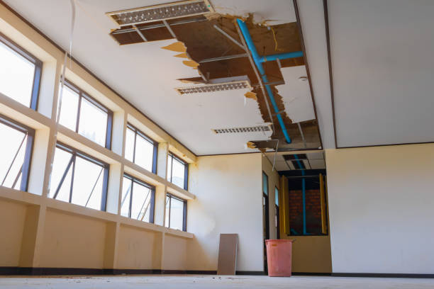 Best Ceiling water damage repair  in Mulberry, NC