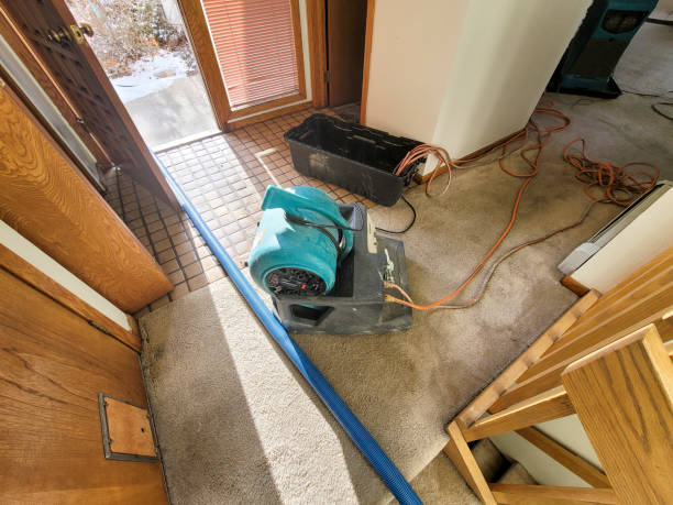 Best Commercial water damage restoration  in Mulberry, NC