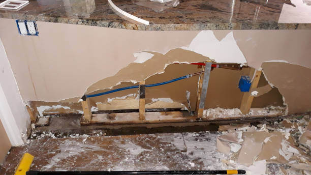 Best Professional water damage repair  in Mulberry, NC