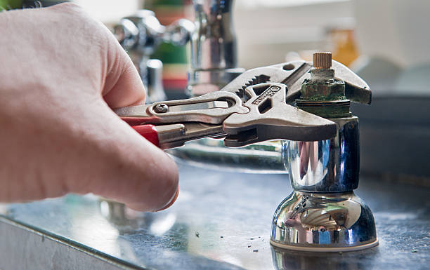 Best Mold removal after water damage  in Mulberry, NC