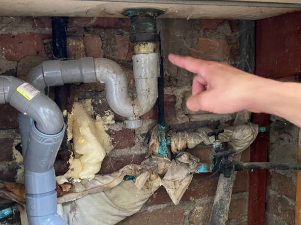 Best Professional water damage repair  in Mulberry, NC